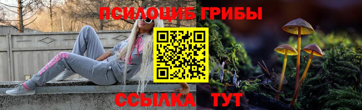 Нижний Тагил  Галлюциногенные грибы Psilocybine cubensis  Псилоцибиновые грибы GOLDEN TEACHER  Вход с VPN 